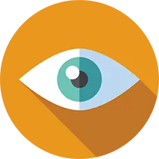 vision